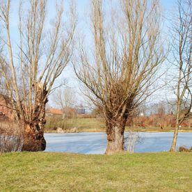 Insel Poel